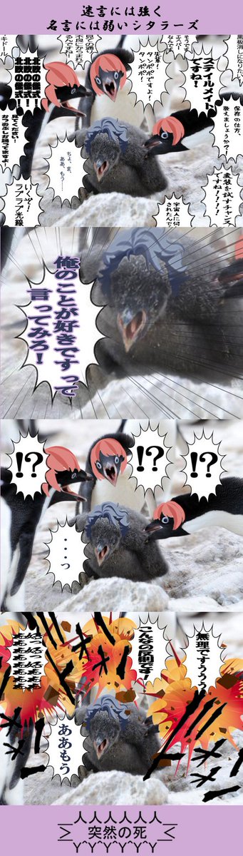 mameyama0130's tweet photo. 設楽先輩おめでとうございます。私、設楽先輩自身の事は友好程度の好きさなんですが、設楽先輩を愛しすぎてるシタラーズ皆さんの事は尊敬してますし大好きなんです。そんな訳で昨年の分も合わせて私から見たシタラーズの皆さん。これからも応援してます！　#設楽聖司生誕祭2017 https://t.co/lDtQdKBlYZ