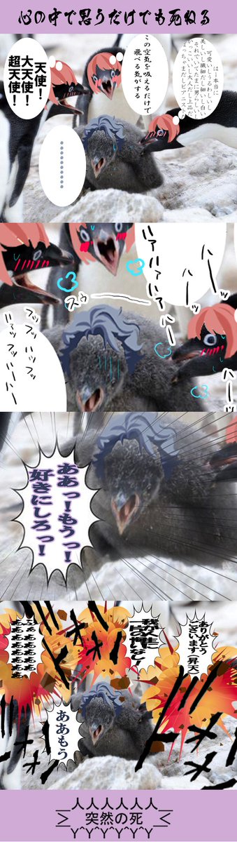 mameyama0130's tweet photo. 設楽先輩おめでとうございます。私、設楽先輩自身の事は友好程度の好きさなんですが、設楽先輩を愛しすぎてるシタラーズ皆さんの事は尊敬してますし大好きなんです。そんな訳で昨年の分も合わせて私から見たシタラーズの皆さん。これからも応援してます！　#設楽聖司生誕祭2017 https://t.co/lDtQdKBlYZ