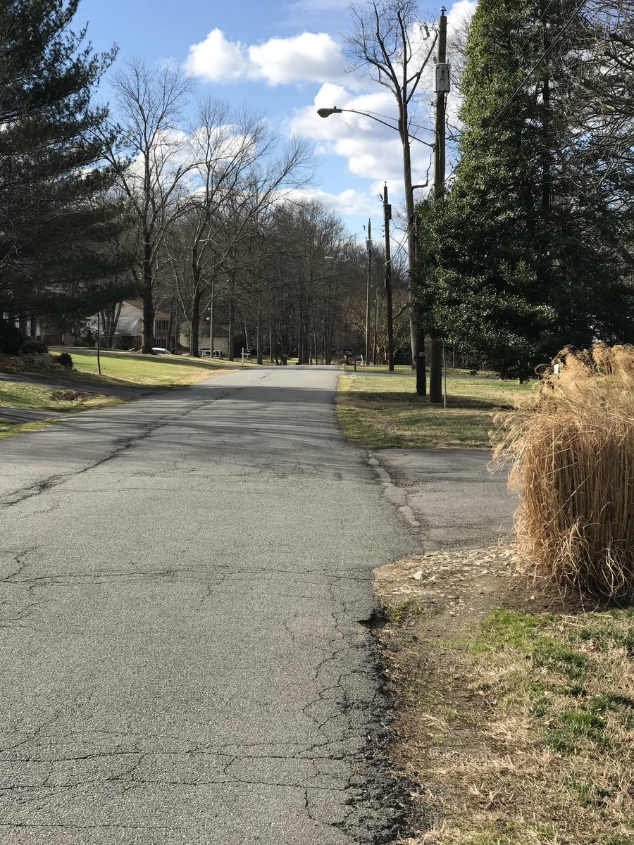 mandyg33k's tweet image. Awesome day for a breezy walk #DogWalkLife