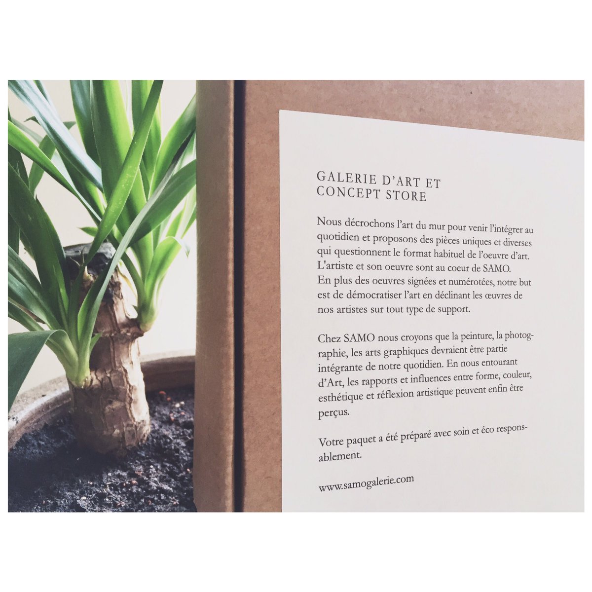 Quand on va poster nos colis, on le fait éco-responsablement ! Et à vélo #ecolo #green #yuka #greepassion <a href="/LaPosteBusiness/">LaPosteSoluBusiness</a> #thisissamo