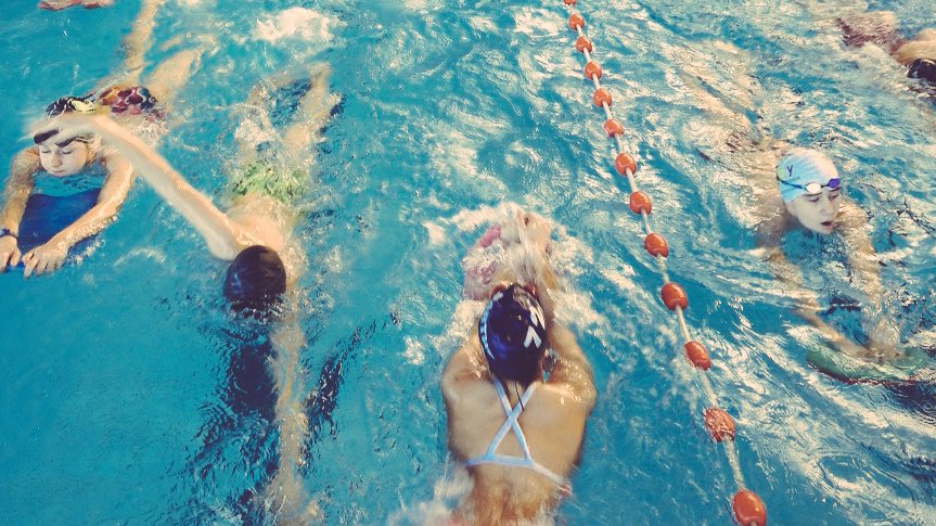 LigueTriPdl's tweet photo. Encore une belle journée Perf'Ormance pour nos jeunes triathlètes #TriPdl #Vosges 
#EcoledeTri #Triathlon #Stage https://t.co/hP4L1Jvg8o