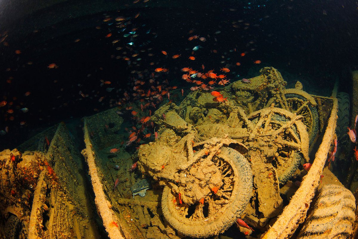 sportdiver's tweet photo. What wreck has haunted you long after you've dived it? https://t.co/JMgLiAizhm #seahistory https://t.co/OxwlhEBI04