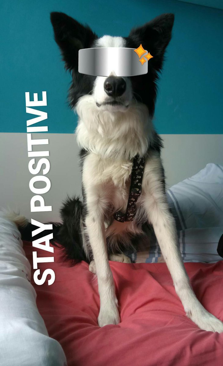 stpps_'s tweet image. ✨STAY POSITIVE✨