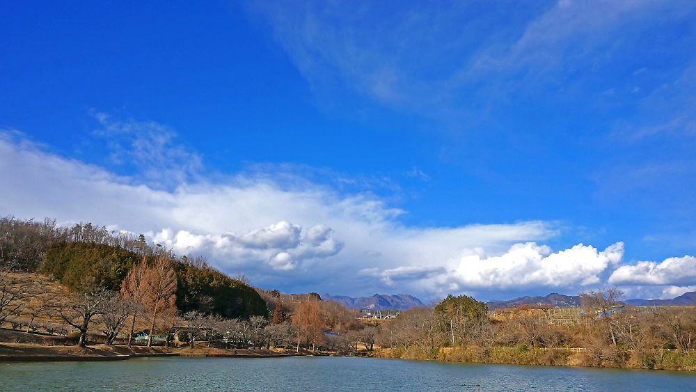 soars95's tweet photo. 今日は暖かかったなー
お昼頃は
セーター一枚でも快適
なにか
山の中の小さな湖も
衣替えをしたのか
春模様に感じ
まるで自分のことの様に
心が躍った
あー春が来た・・・と
雲もそんな私を
笑って応援してくれている
嬉しい https://t.co/GXjJSfqhBQ