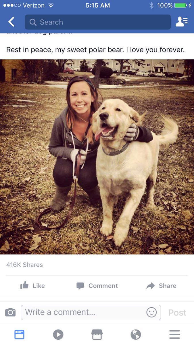 Do NOT fly your dogs if you can avoid it, and especially not with <a href="/united/">United Airlines</a>. I definitely would not trust them with mine. Spread this.