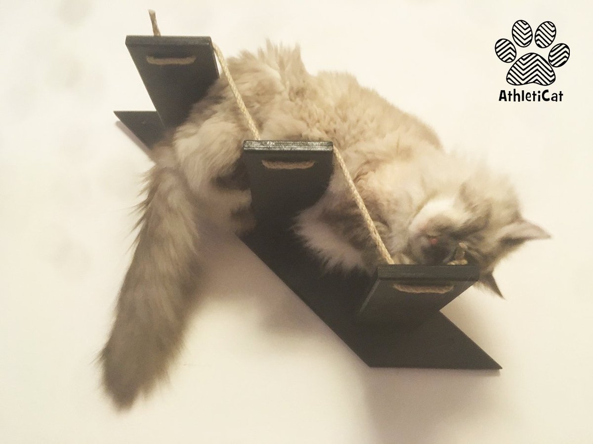 AthletiCatShop's tweet photo. Today we show you the black version of our #catstair. Guess who's there? 😂 #CatsOfTwitter #furniture4cats #athleticat #cats https://t.co/M6APMPrSQy