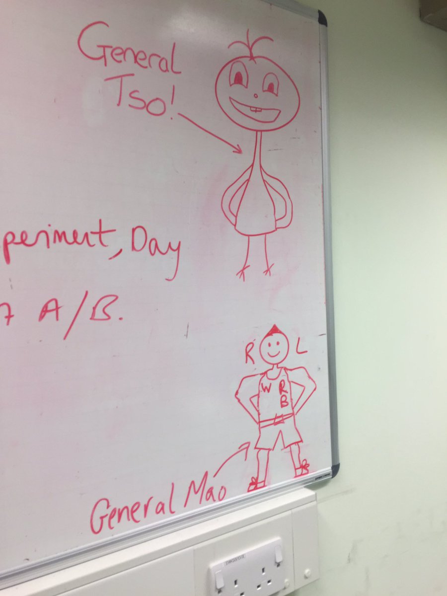 stage3lab's tweet image. Who would you rather be? 🐓🐓