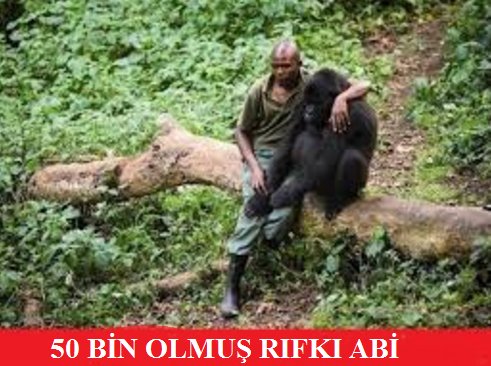 ÜZDÜÜÜÜÜ... #forextebliginigericek <a href="/ForexTebligi/">Forex Tebliği</a>  #forex