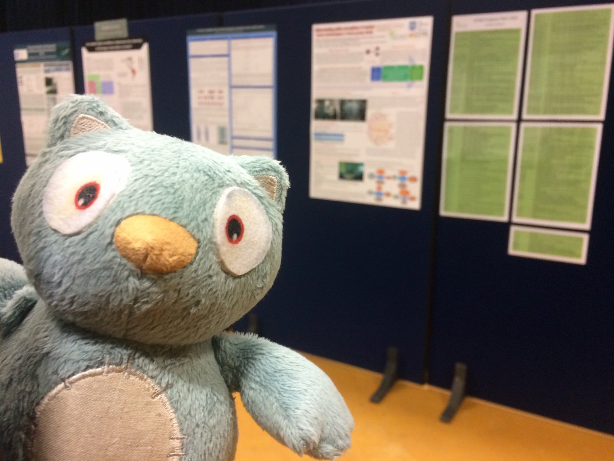 UGResearchUoS's tweet photo. The #301Owl is helping us set up for tonight's #SUREShowcase. Come along, it'll be a hoot! https://t.co/Rp9olCJpIs https://t.co/wJf5XlpSSU