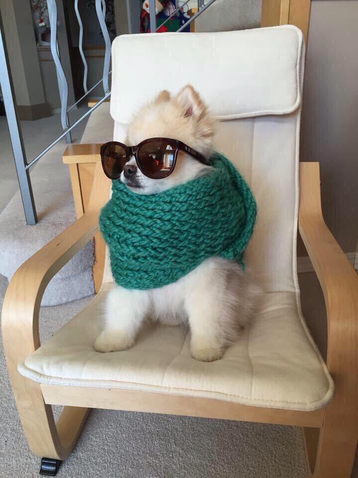 bebi_fernandez's tweet photo. Hace un calor pa ir like así. https://t.co/OFXeHkiLMl