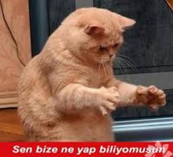 Ortaya bir SOP, ama LAP olmasın sevmiyoruz.   <a href="/ForexTebligi/">Forex Tebliği</a> #forextebliginigericek