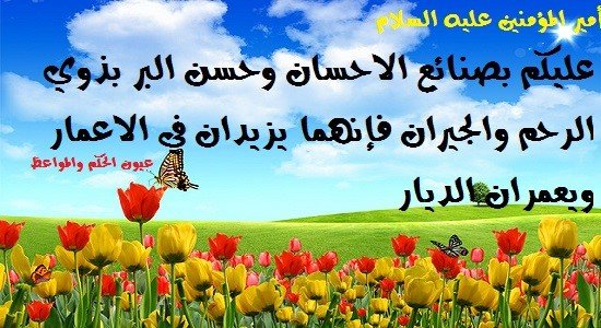هشام الحوار tweet media