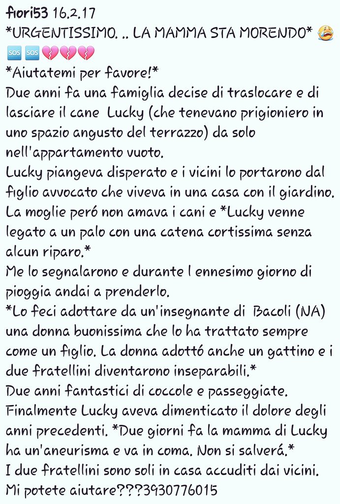 BACOLI (NA) VI PREGO AIUTIAMOLI SI CERCA #ADOZIONEdiCOPPIA SI AMANOsonoINSEPARABILI LA LORO MAMMA UMANA PURTROPPO NN SI SALVERÀ😔
3930776015