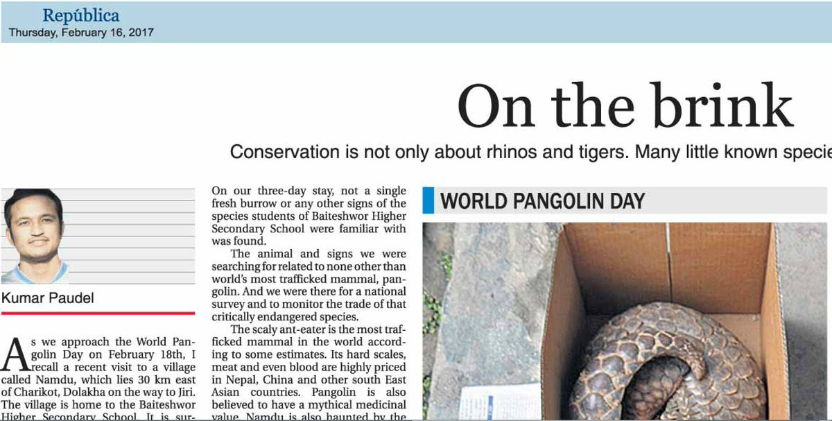 kmrpaudel's tweet photo. Thank you, @RepublicaNepal for publishing my opinion about Nepal's Pangolins. #NepalPangolin #WorldPangolinDay https://t.co/6PBonnsD3h https://t.co/CK3EjPpckC