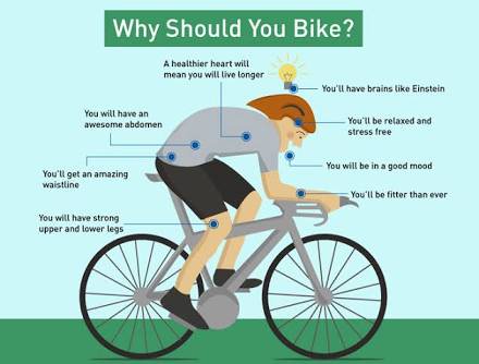 healthfiit's tweet photo. #cycling #benefit #healthy #stayfit with #fitealth https://t.co/w7m7flk4mV