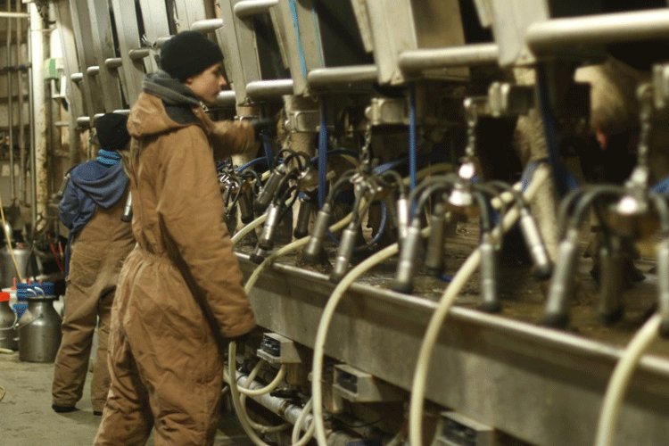JamiePEI's tweet photo. Only fitting that on #CdnAgDay we are reminded that farmers do not get storm days. They work 365 days/year. #PEI https://t.co/VXJzvogHLQ