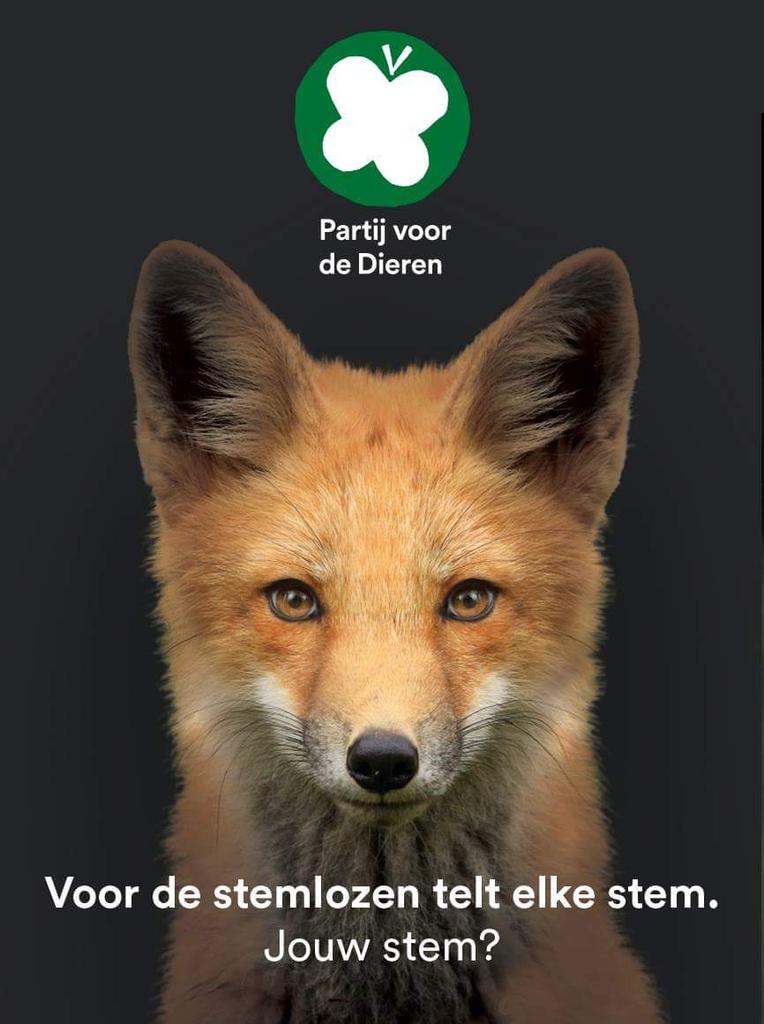 RODIEN's tweet photo. Duidelijk.. https://t.co/BNPvnsjB05