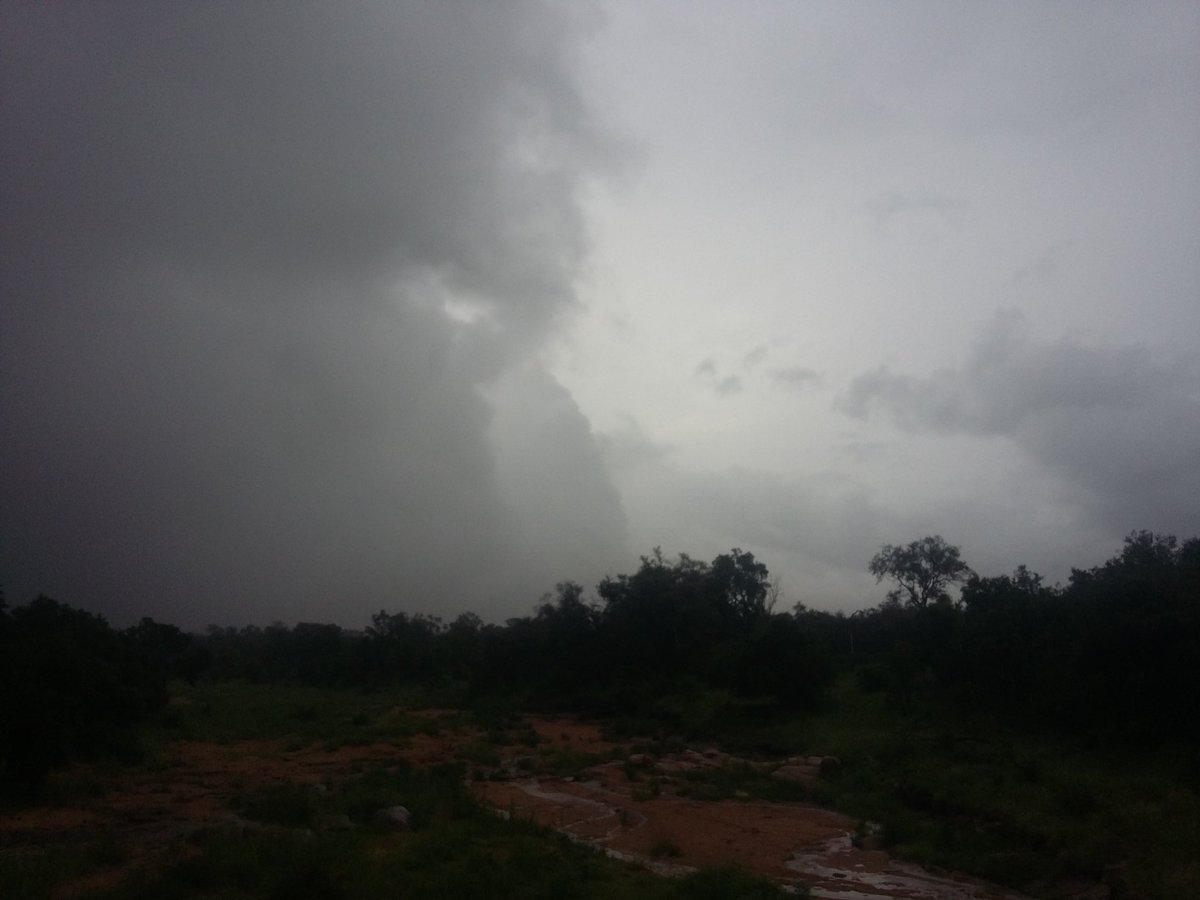 WildWingSafaris's tweet photo. ...and then cyclone Dineo moved in on our last day. https://t.co/tcHaOIwWeJ