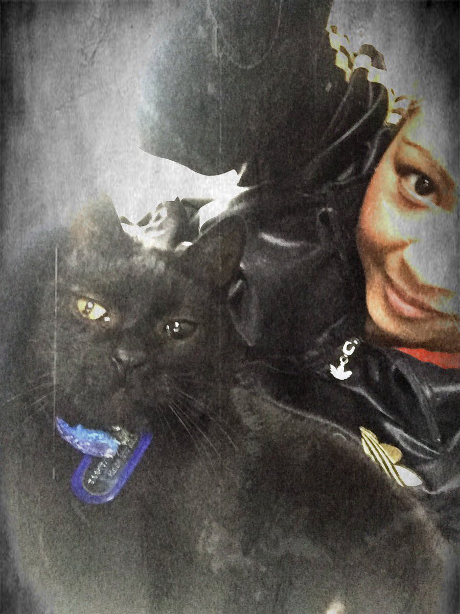 Darkchild_79's tweet photo. Love my boo! 😍 #CatsOfTwitter #cats #blackcat #loveforanimals #animallover #overchilled https://t.co/ijXsGPfxdK