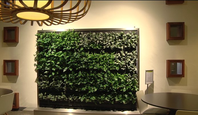 Studenten #Bouwkunde en #BTB testen of plantenwand in academie bijdraagt aan betere studieresultaten <a href="/Pioneering/">Joe Dempsey, Sr.</a> saxion.to/2llot5N