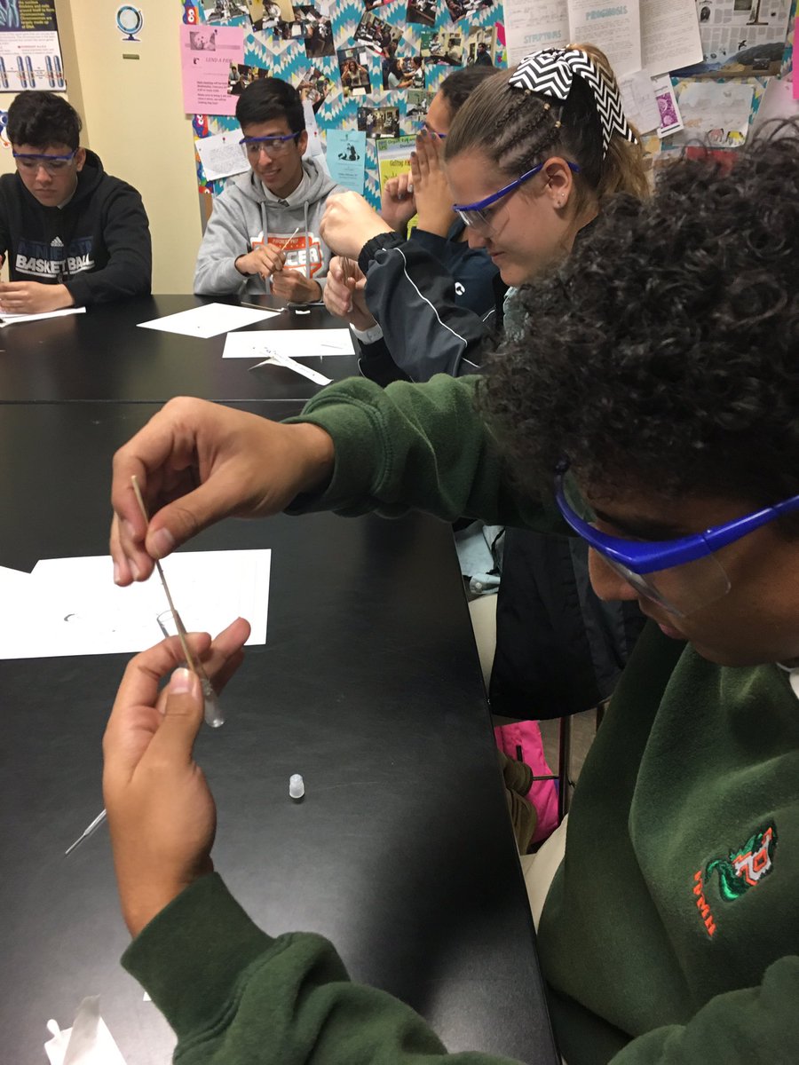 PPMHAPBio's tweet image. And here are our AP Bio students extracting their own DNA #apbio #makesciencefun