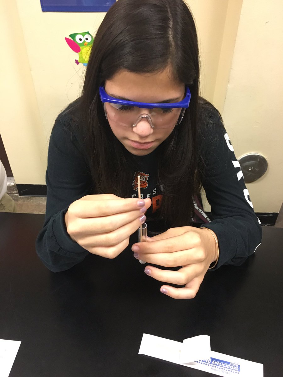PPMHAPBio's tweet image. And here are our AP Bio students extracting their own DNA #apbio #makesciencefun