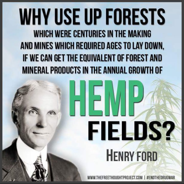 HempHelps's tweet photo. More #HempFields. Save the trees. Save the planet. https://t.co/hEWNqvHcsy