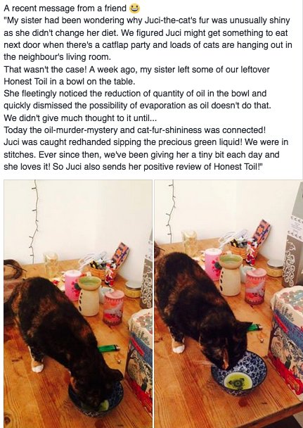 Honest Toil's Number 1 feline #oliveoil fanatic!   A haircare message from Hungary