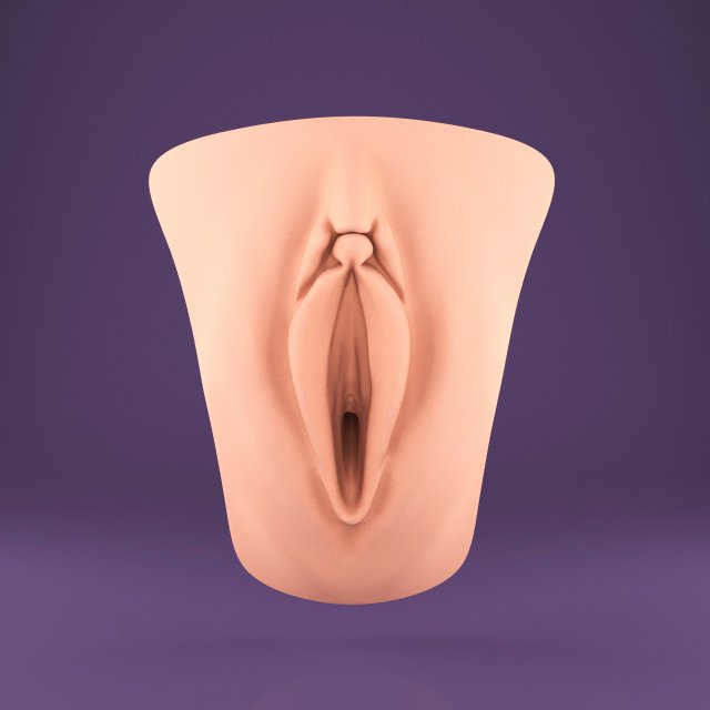 Artificial Vagina