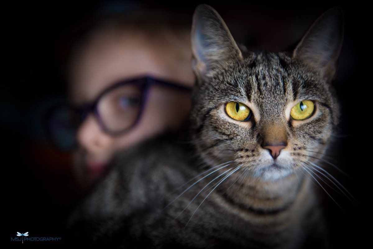 A girl with a cat #cat #girl #yelloweyes