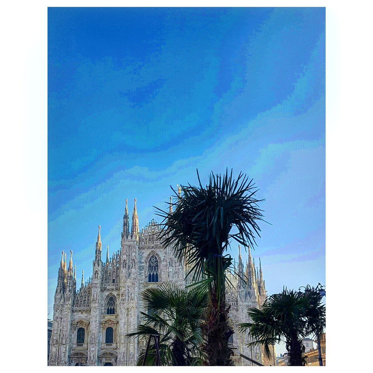 ale_carnicella's tweet photo. It's #Milangeles Baby ! 🌴😱🌴😱🌴😱
#Palme https://t.co/Zgwo4PII4s