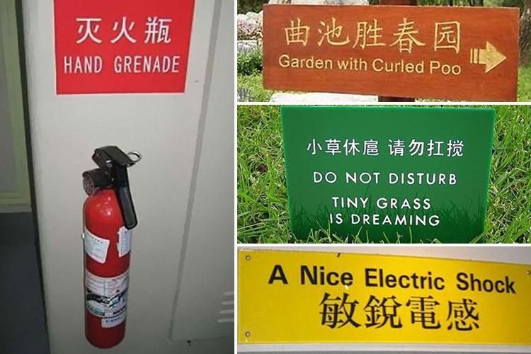 Signstar tweet media