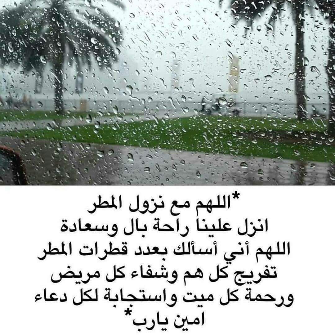 mfarouk402 tweet picture