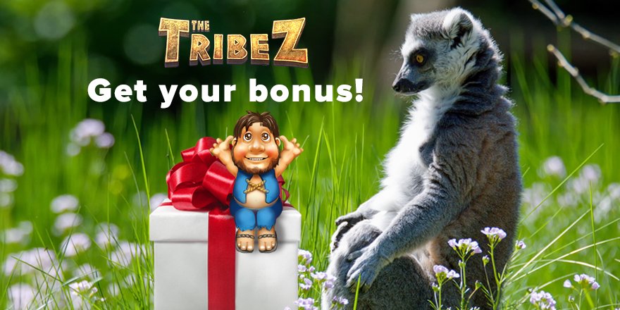 The Tribez tweet media