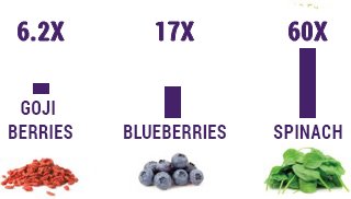 MatchaPassion's tweet photo. Matcha tea is ranked as containing the highest antioxidant content among many popular fruit and vegetables. #health #superfood #matcha https://t.co/a0519EmaVA