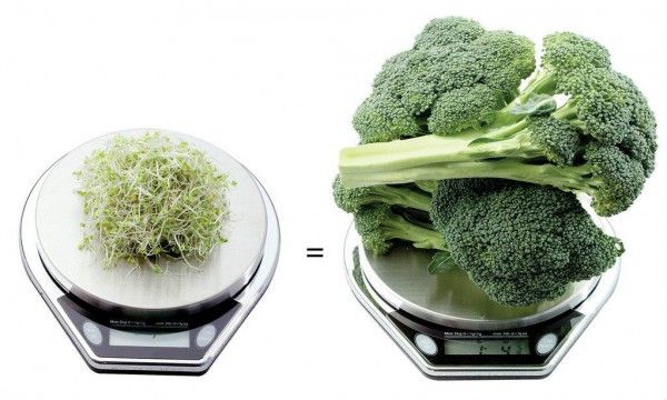 DrKristieLeong's tweet photo. Study:Sulforaphane in #broccoli sprouts turns on cellular pathway that detoxifies air pollutants.#health https://t.co/4MeX9xuDwk