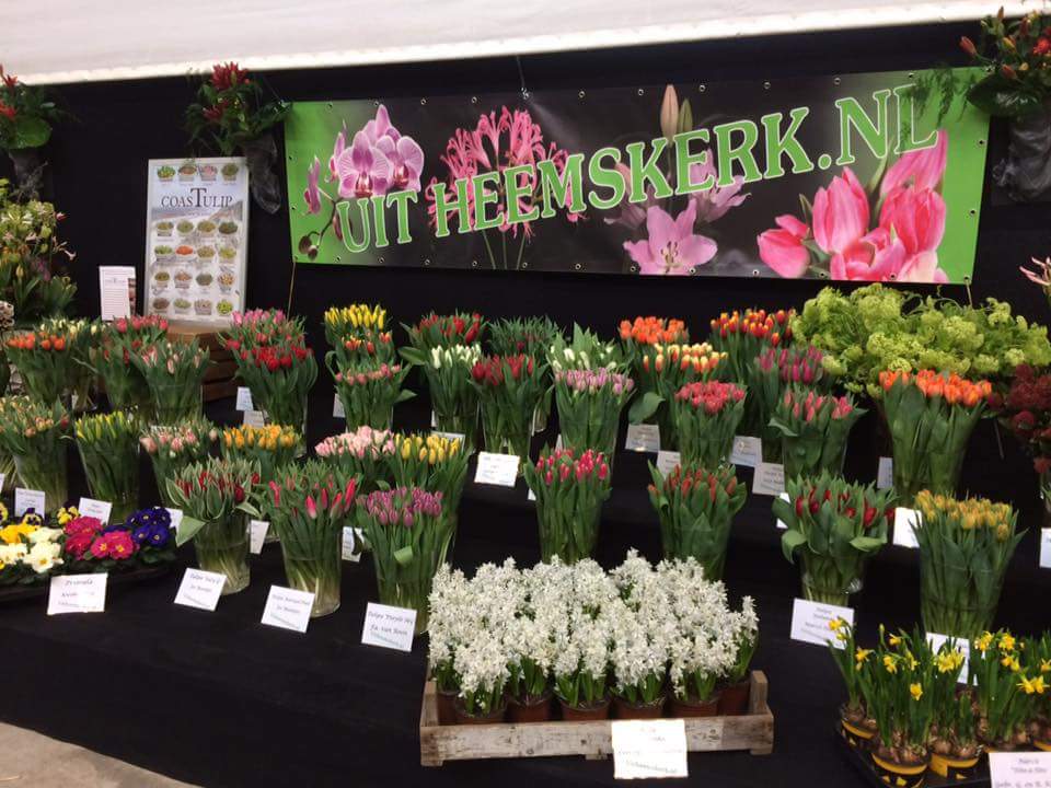 JcmVof's tweet photo. Wat hebben we toch een prachtige bloemen  #uitheemskerk.nl https://t.co/uLbxmSTjmI
