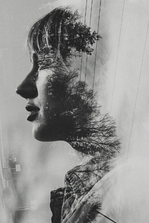 fotoHEBAT's tweet photo. Using Multiple Exposures to Create Abstract Photographs
#infoFH https://t.co/krBNcD7Fzf https://t.co/mHGsgztIrc