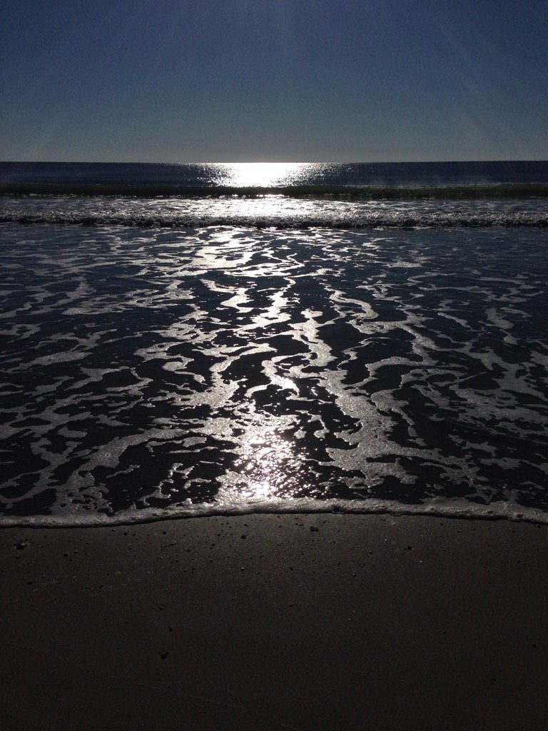 onlyhereonlynow's tweet image. Calico