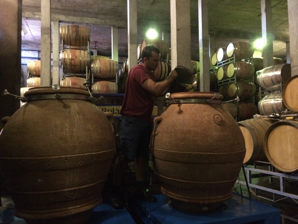 R.J. Botha tweet media