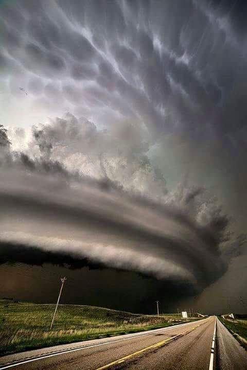 realthemba0's tweet photo. #dineo is on its way brass yourselves https://t.co/dJe2dLwLh8