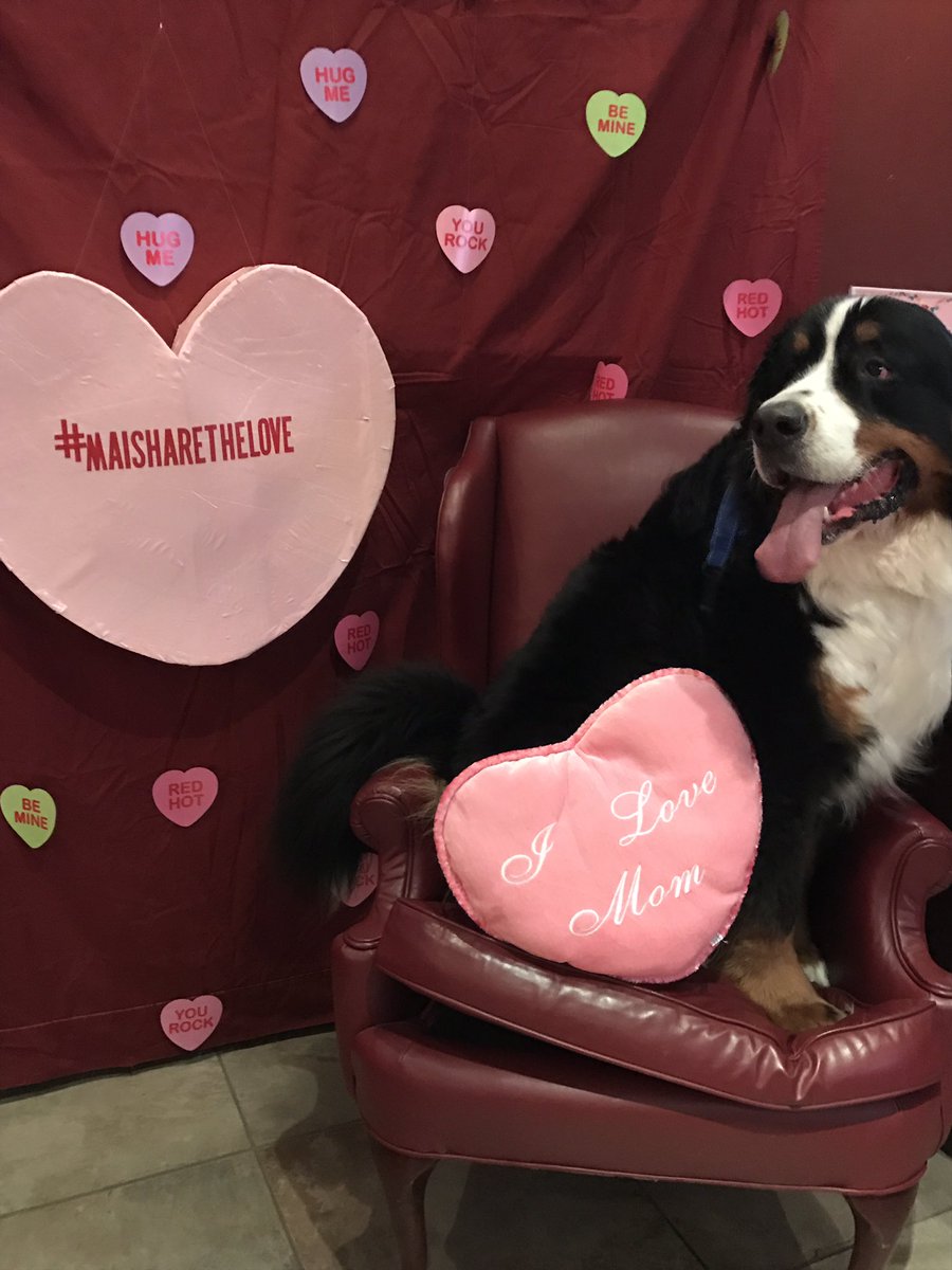 jmccormick88's tweet photo. #maisharethelove @megs0055 JAX https://t.co/IN5rDsXMXF