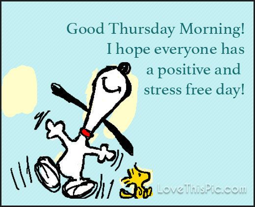 postive_quotes1's tweet image. happy thursday! #ThursdayThoughts #PositiveThoughts #stressfree #MotivationalQuotes #positivethinking #positivequotes #InspirationalQuotes