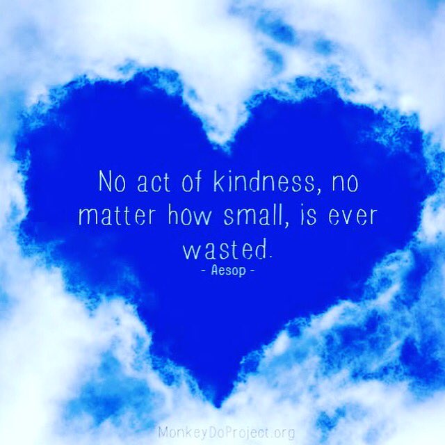 MonkeyDoProject's tweet image. "No act of kindness. No matter how small, is ever wasted." #RAK DAY 4 #kindness #monkeydo
