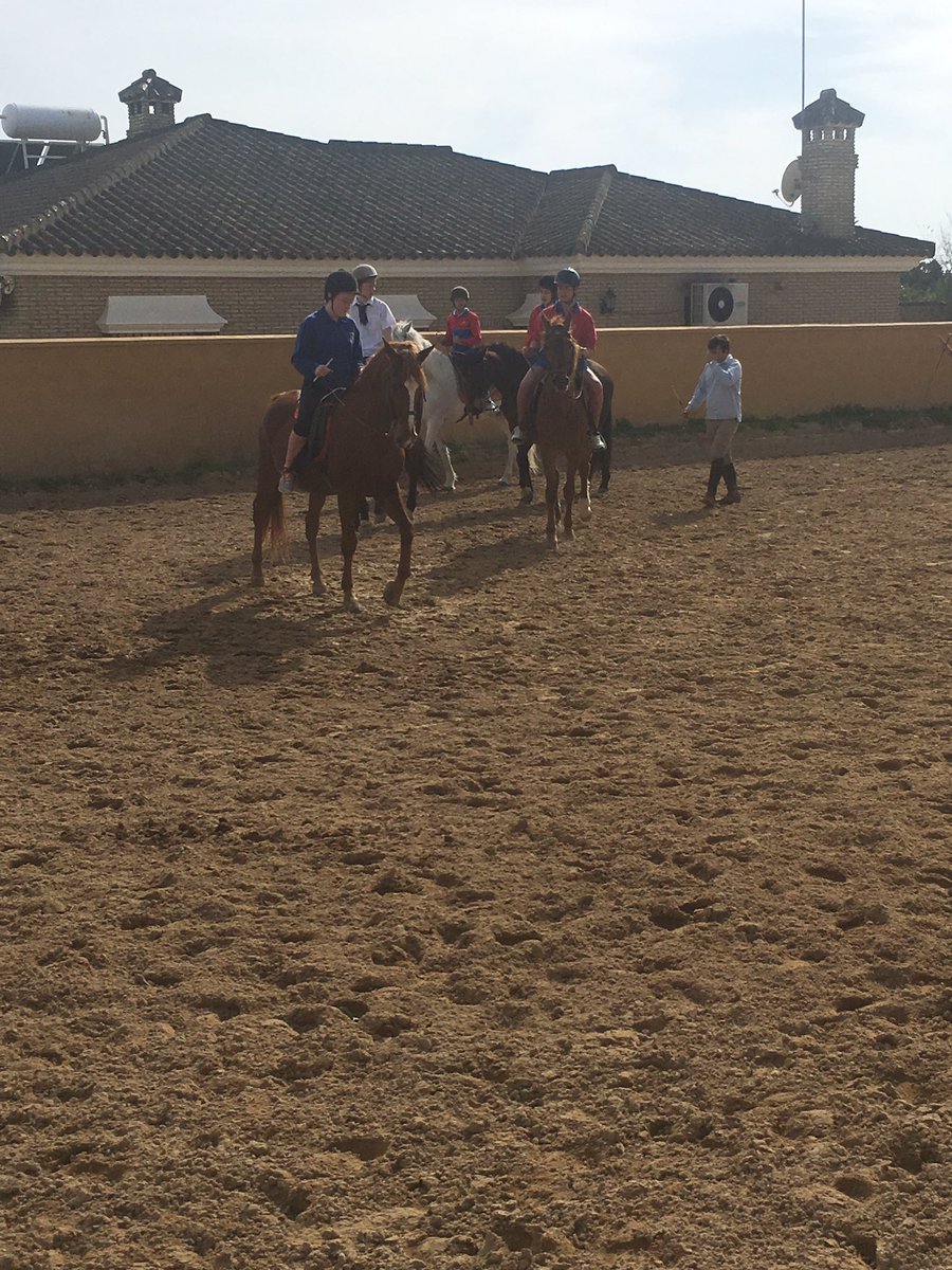 mflolchfa's tweet photo. Fantastic day in school this morning and now the pupils are playing paddle tennis and horse riding! #Olchfa @coleci_1969 @Olchfaschool https://t.co/04CXeStCQU