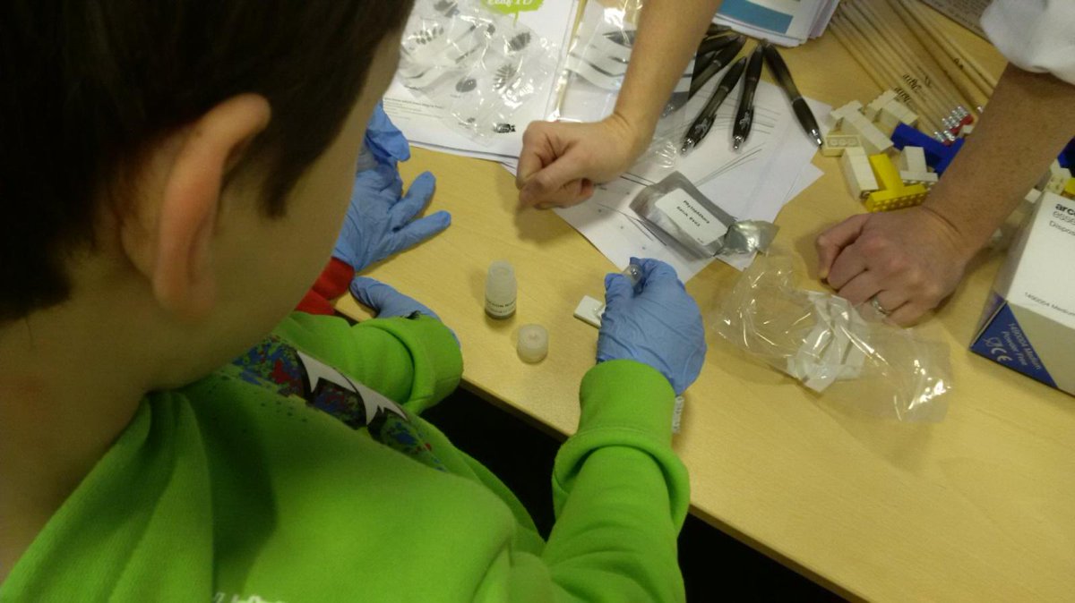 .<a href="/AFBI_NI/">AFBI</a> Botanical Investigators getting help from eager <a href="/niscifest/">NI Science Festival</a> visitors on Day One of the #NISF17 at the first Roadshow in Dungannon!