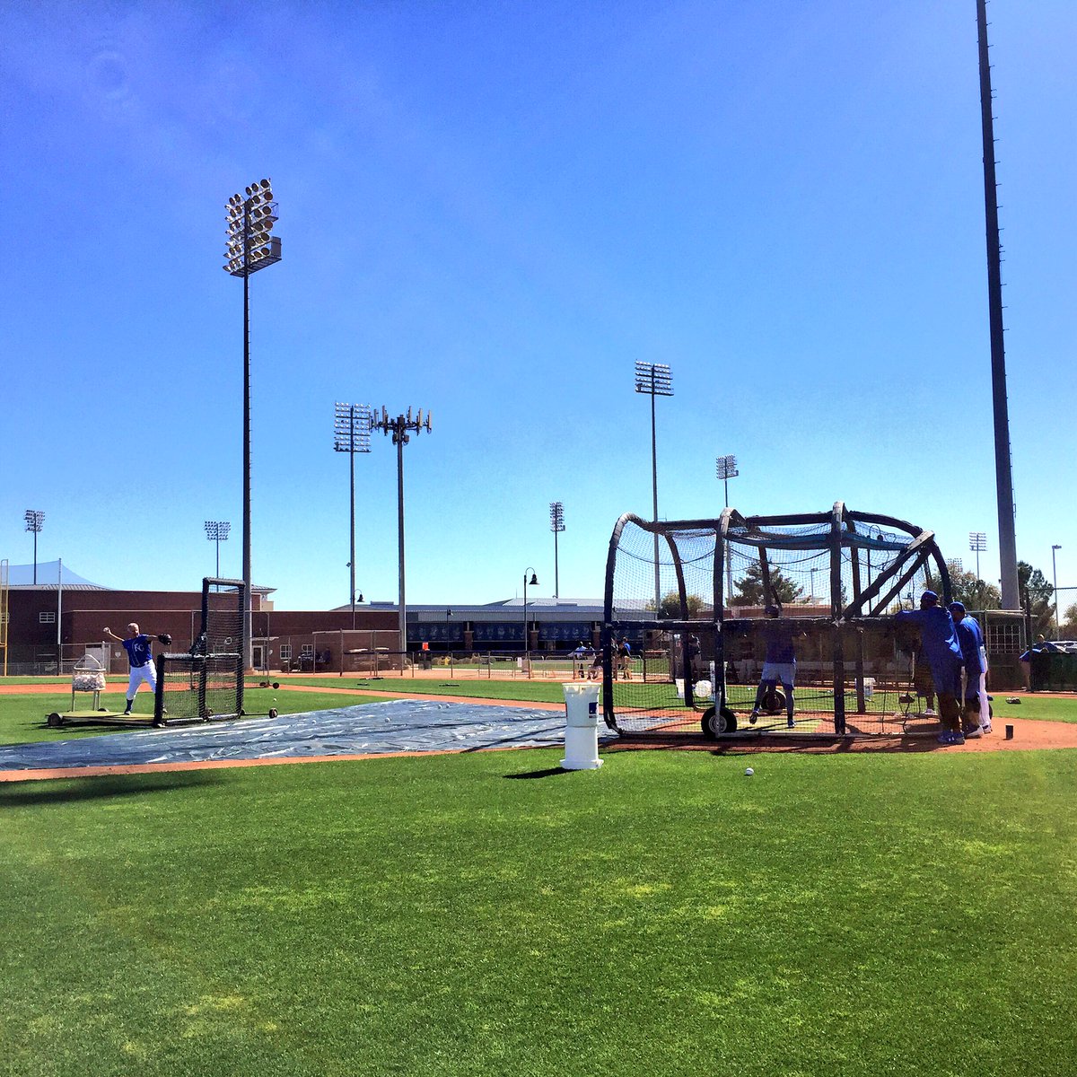 Royals tweet picture