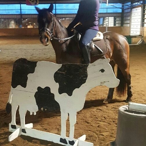 Trying to beat Feb blues, Coach Helen spices it up with a little fictional <a href="/oakhurst3d/">Oakhurst Eventing</a> romance story - with a twist.
oakhurstfarm.com/coaches-journa…