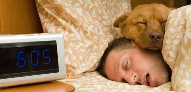 #Casasrurales en la que aceptan a nuestros peludos ¿Todavía no viajas con tus mascotas? #turismorural #mascotas goo.gl/naAH1r