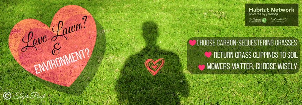 yardmap's tweet image. Possible to have lawn and protect the environment? Research shows proper lawn care traps CO2 to help climate change. sciencedaily.com/releases/2017/…